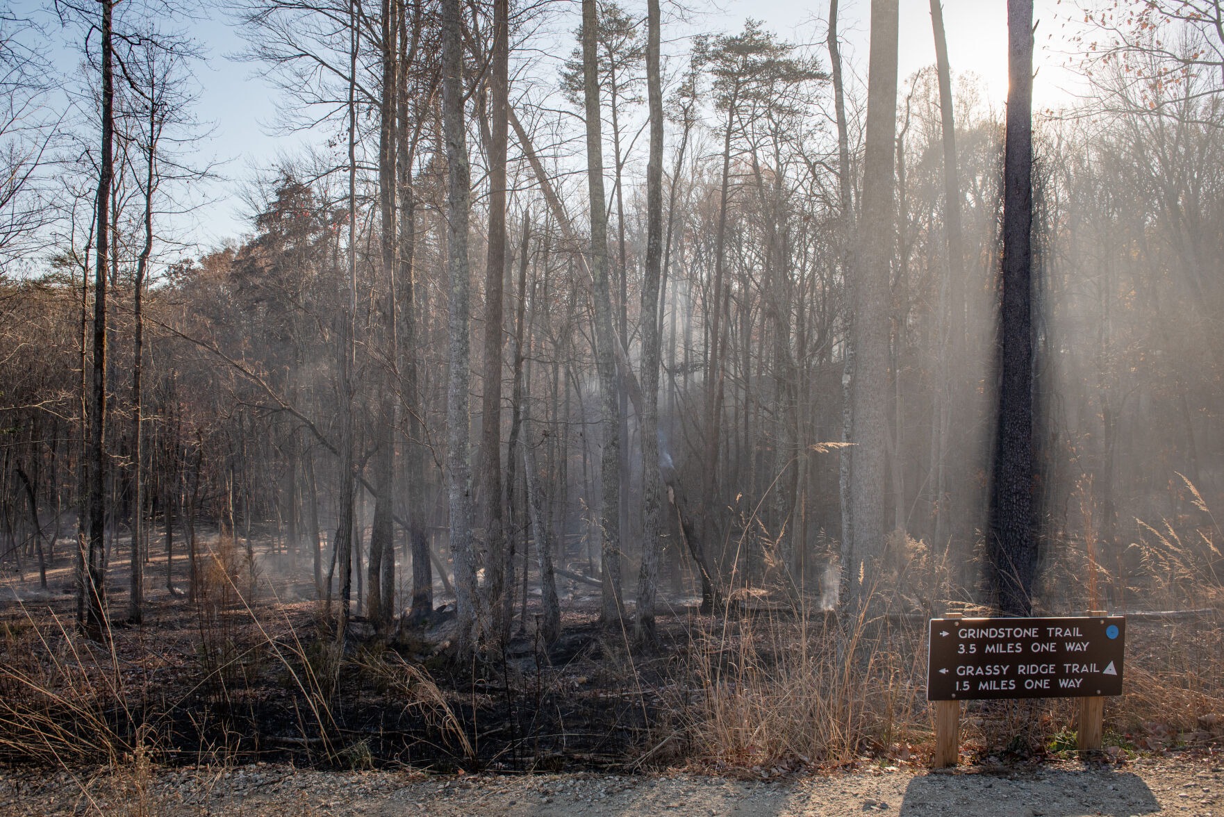 Pilot Mountain Fire Damage